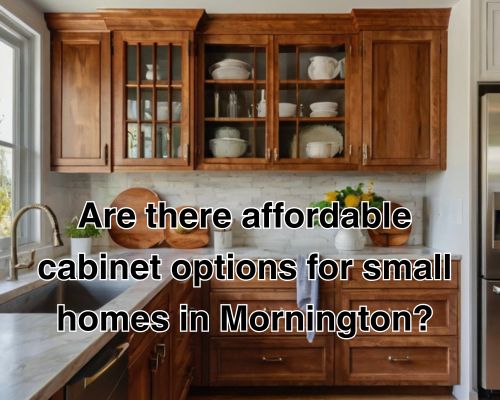 an affordable cabinet options for small home