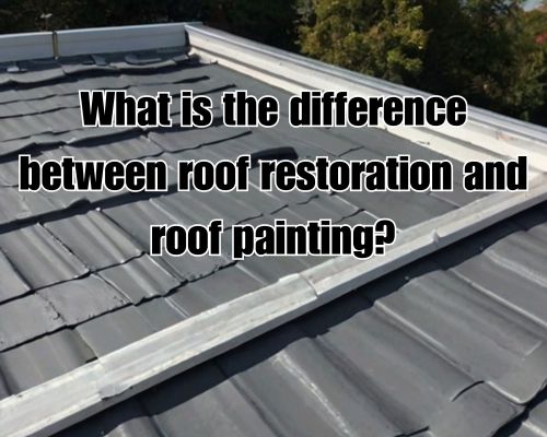 roof painting work