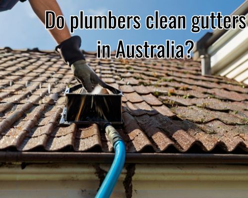 Roof gutter cleaning in progress.